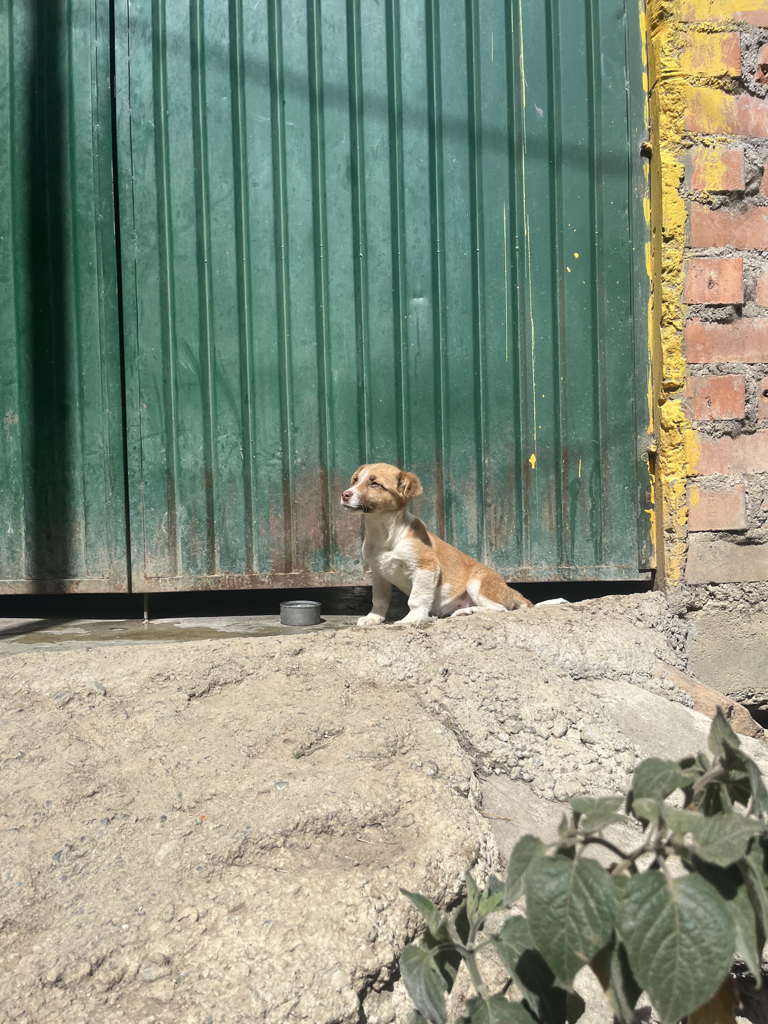 Peru mountain scenery