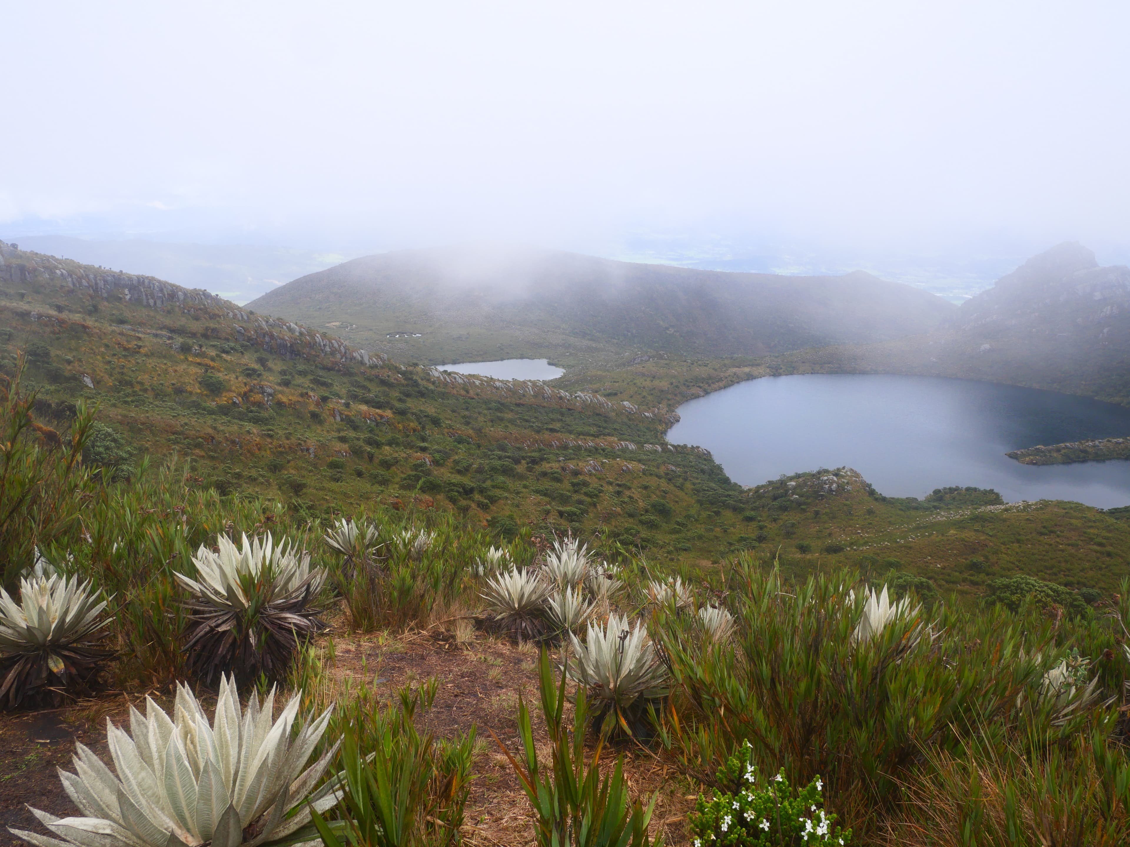 Highland lakes with frailejones