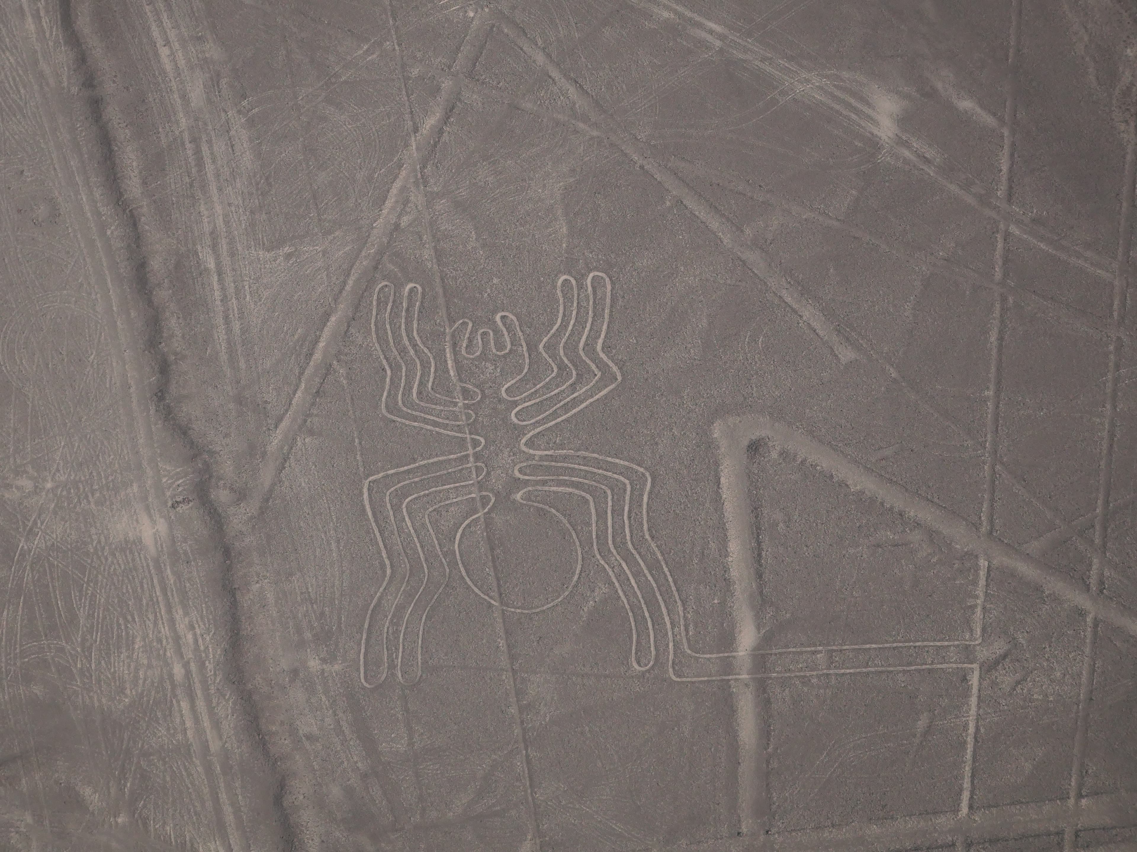 Nazca Lines spider geoglyph